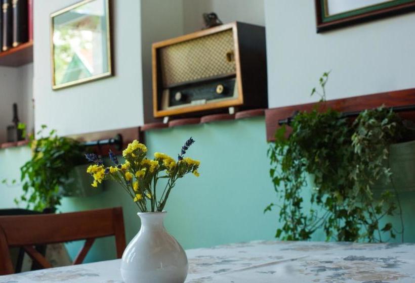 酒店 Piroska Villa