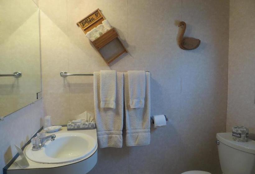 Отель Snyders Shoreline Inn