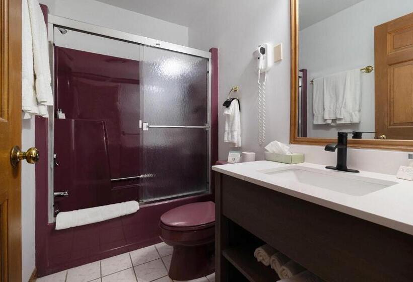 Отель Snyders Shoreline Inn