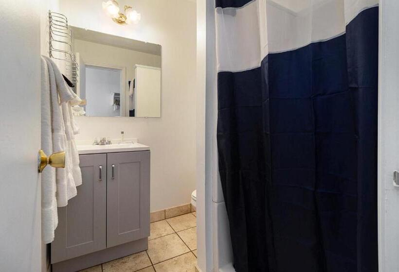 Отель Snyders Shoreline Inn