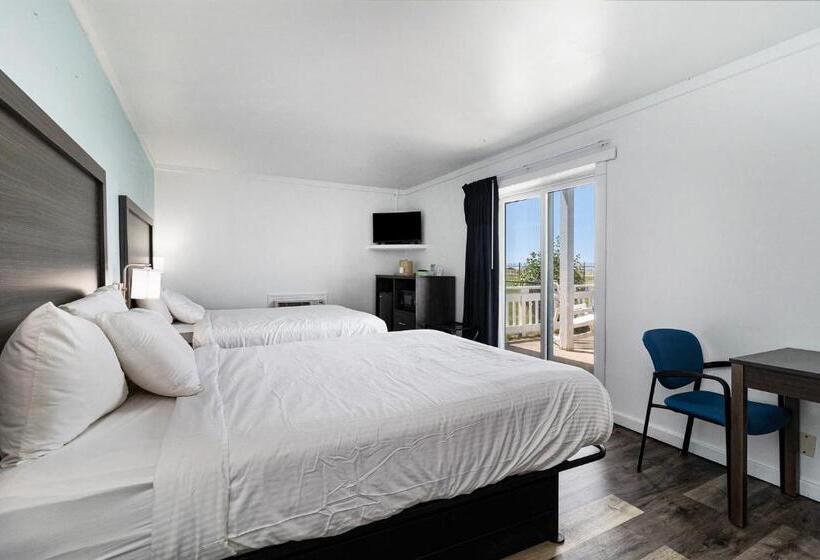 Отель Snyders Shoreline Inn