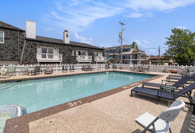 Отель Snyders Shoreline Inn