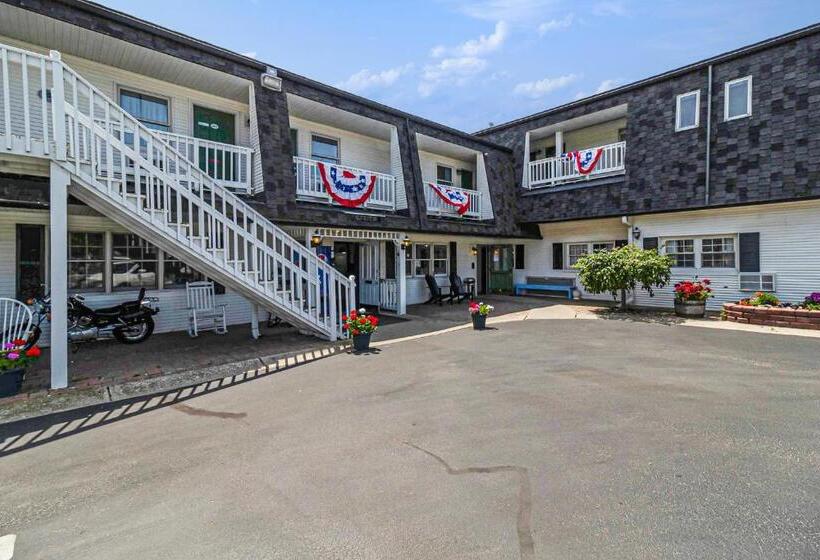 Отель Snyders Shoreline Inn