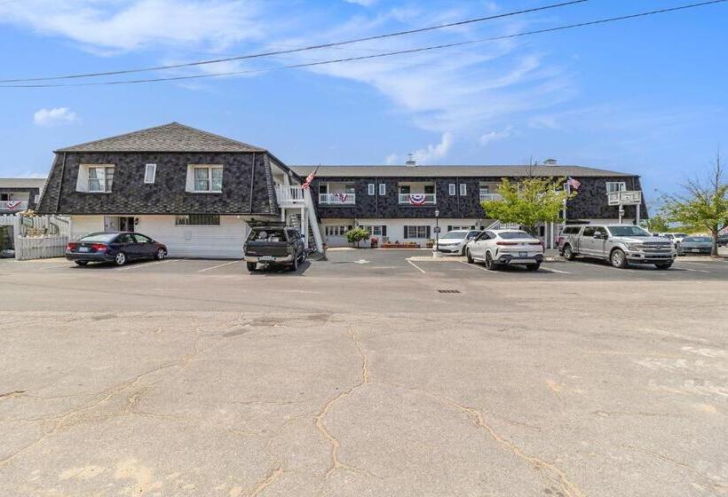 Отель Snyders Shoreline Inn