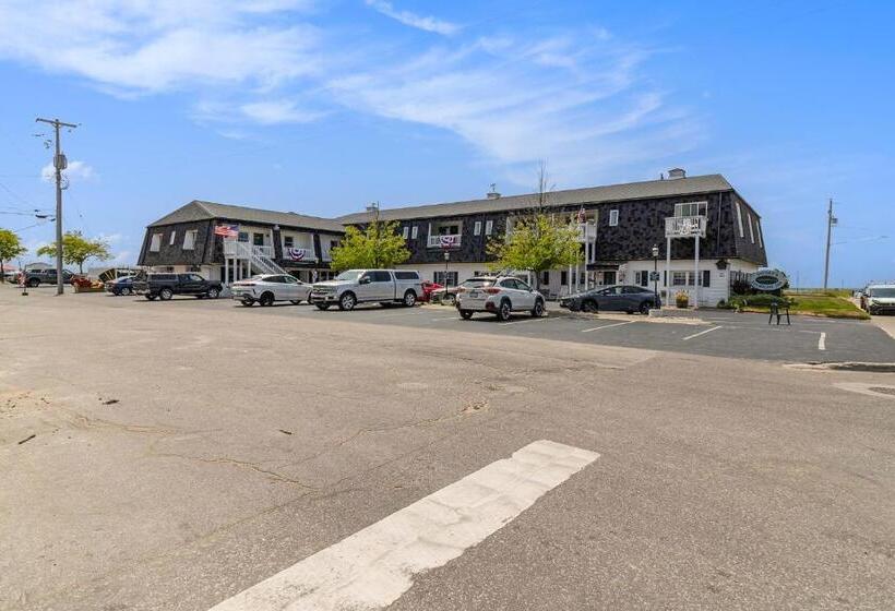 Отель Snyders Shoreline Inn