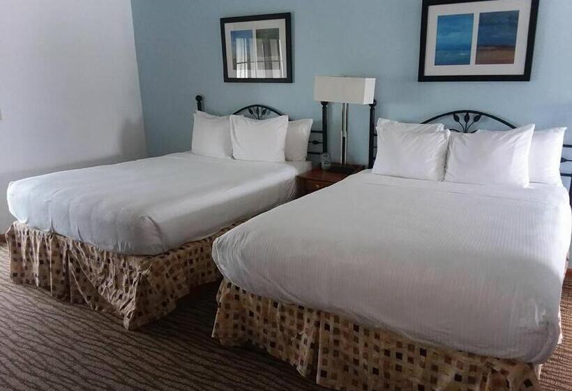 Отель Snyders Shoreline Inn