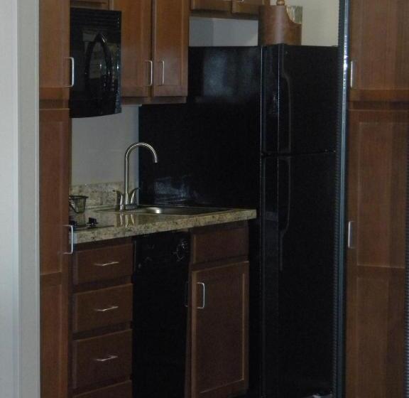 בית מלון כפרי Teddy's Residential Suites Watford City