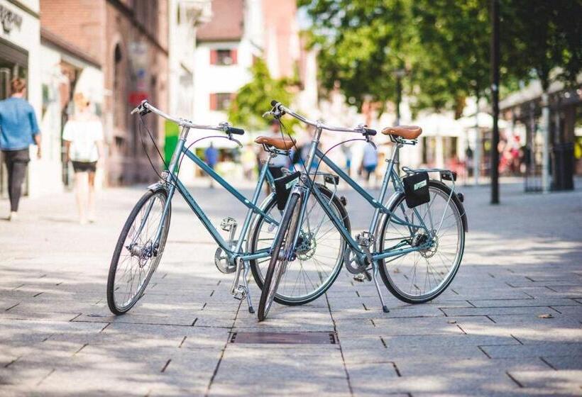 Отель Ulmer Münster