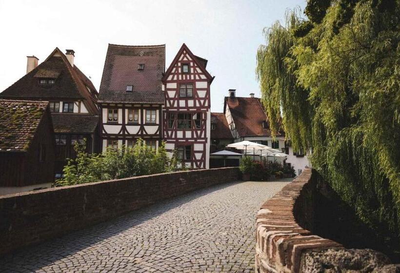 Отель Ulmer Münster