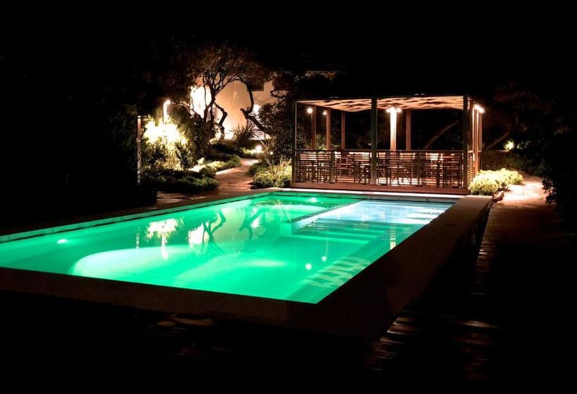 Appartamenti & Villa Il Delfinetto