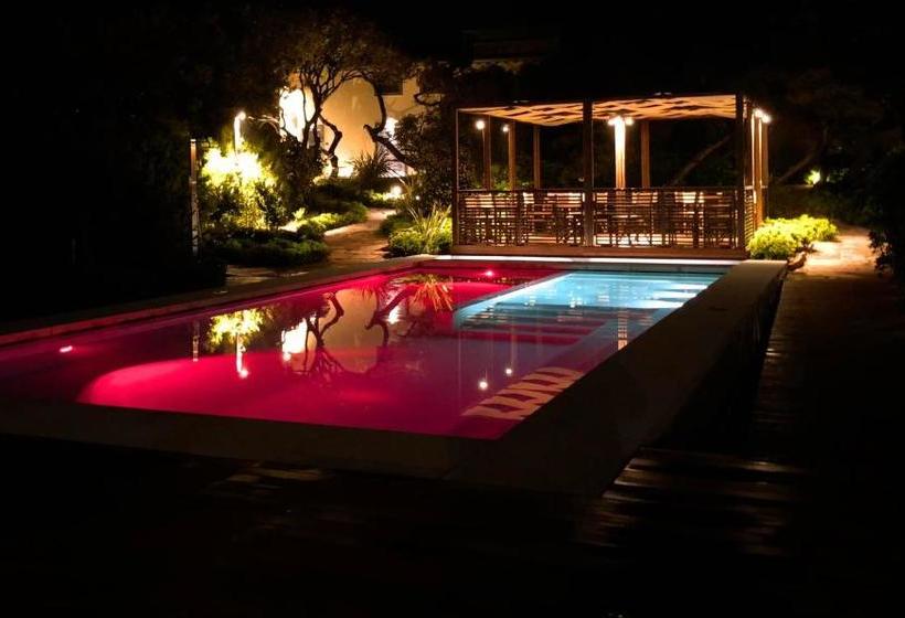 Appartamenti & Villa Il Delfinetto