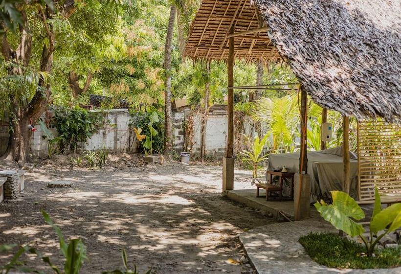 پانسیون Amami Beach Resort