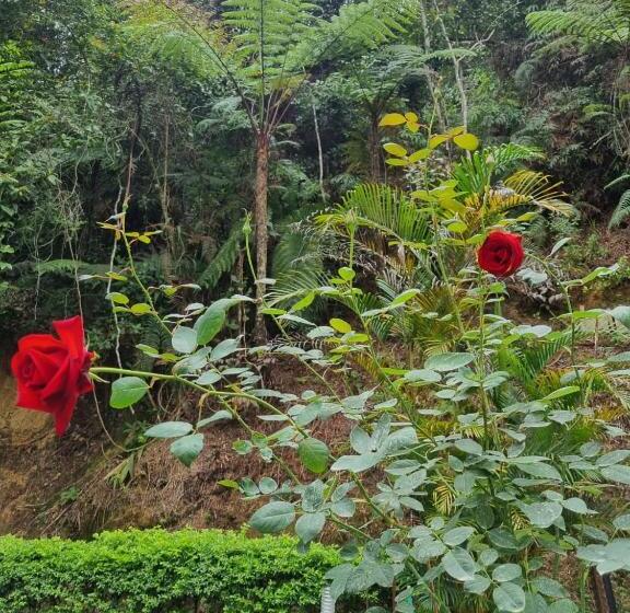 پانسیون Arundina Cameron Highlands