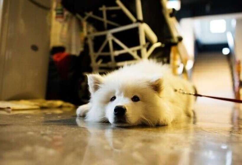 Пансион Suncheon Guesthouse Nreem