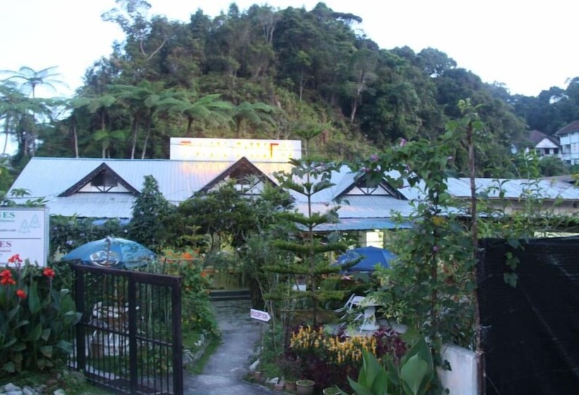 ペンション Twin Pines