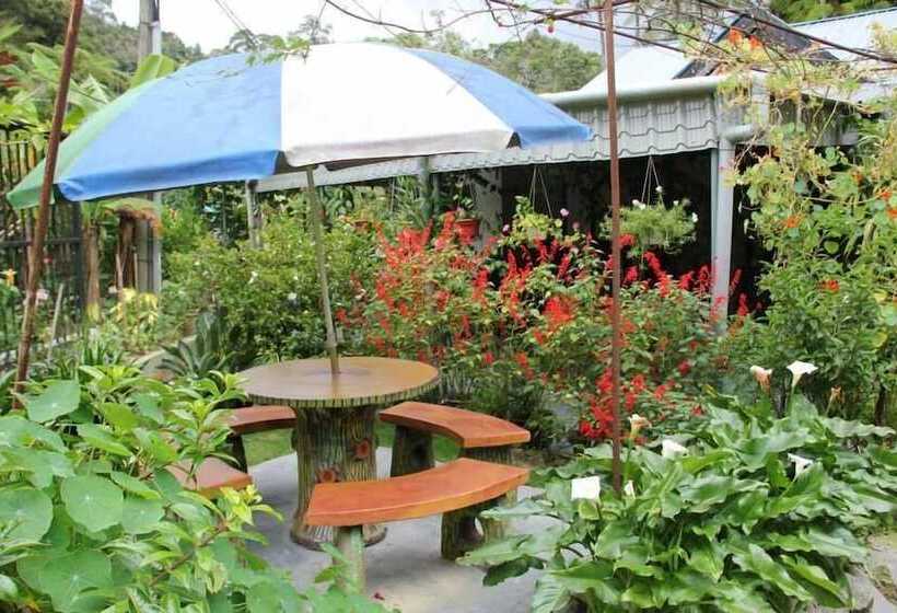 ペンション Twin Pines