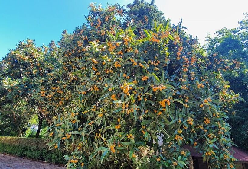 پانسیون Villa Sargiano