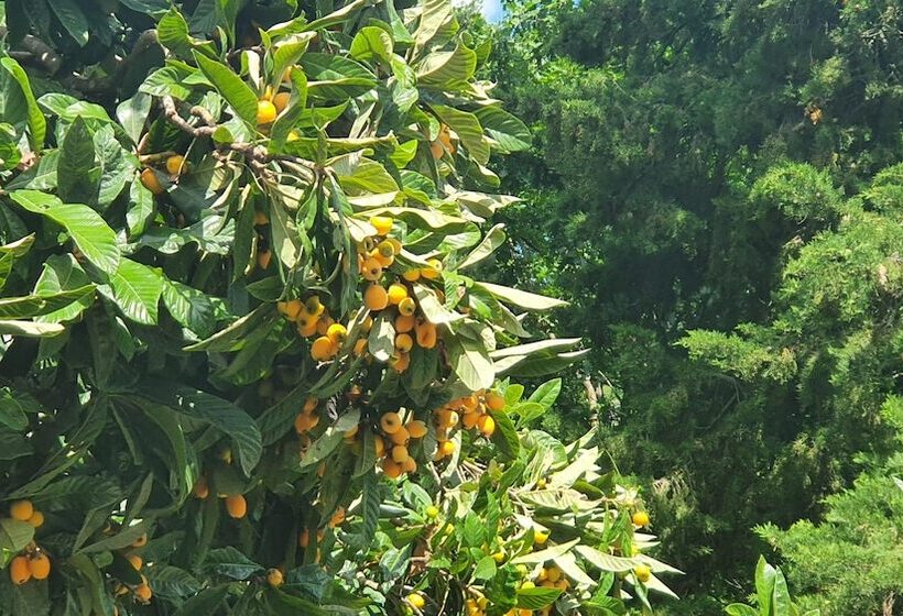 پانسیون Villa Sargiano