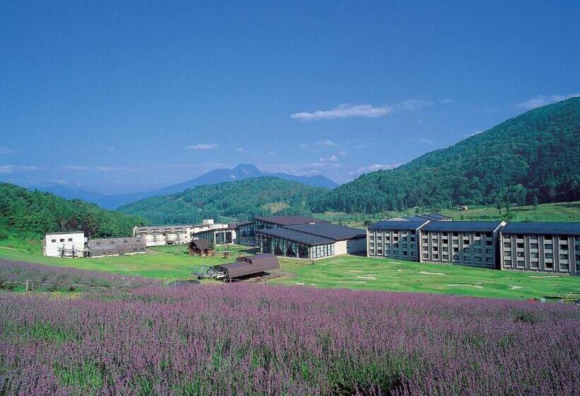 אתר נופש Tangram