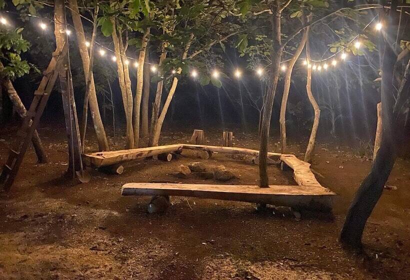 ホテル Finca Avellanas