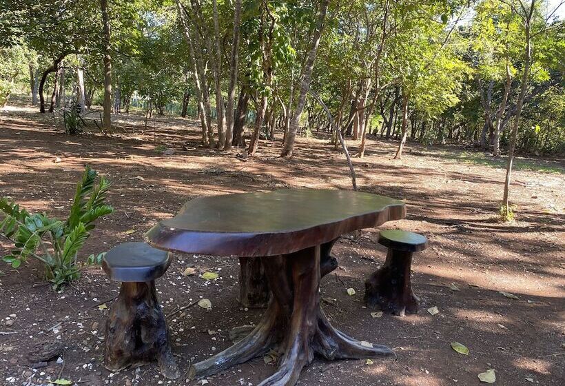 ホテル Finca Avellanas