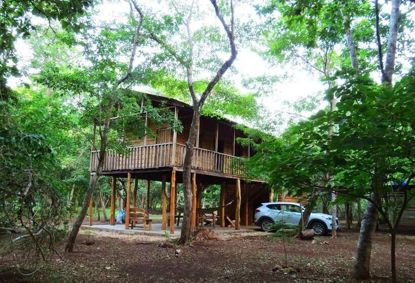 ホテル Finca Avellanas