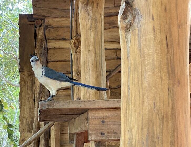 ホテル Finca Avellanas