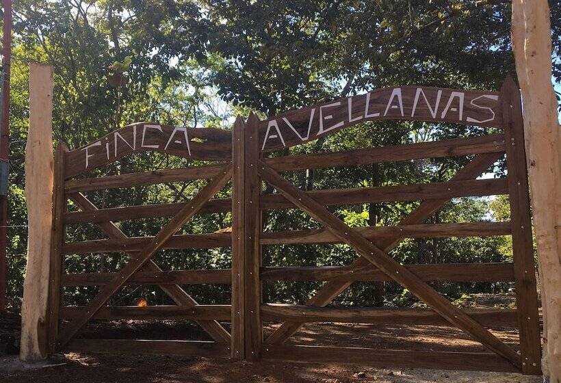 ホテル Finca Avellanas