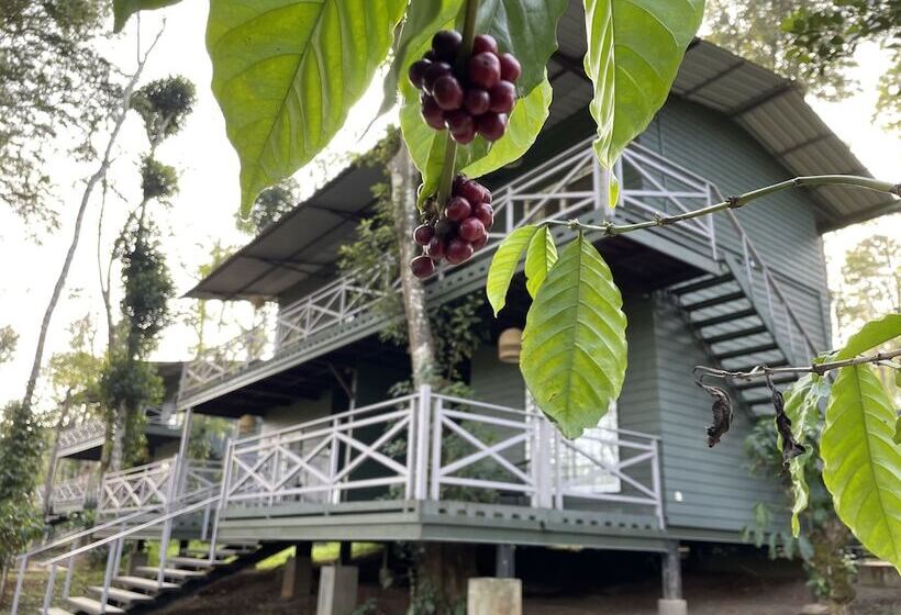 בית מלון כפרי Machaan Wilderness Lodge Nagarahole