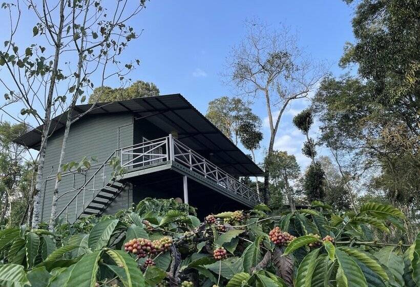 בית מלון כפרי Machaan Wilderness Lodge Nagarahole