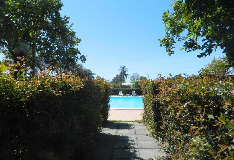 בית מלון כפרי Agriturismo La Grevillea