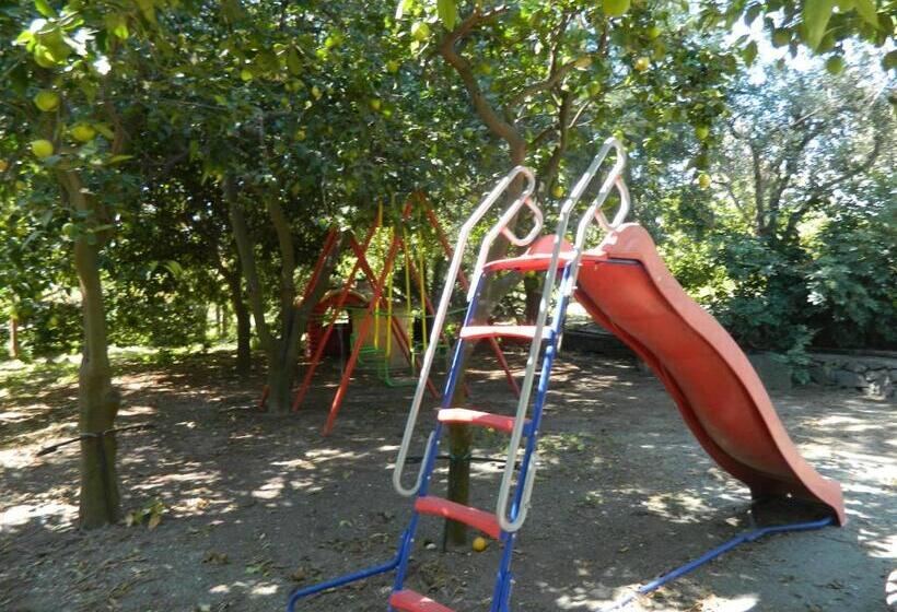 בית מלון כפרי Agriturismo La Grevillea