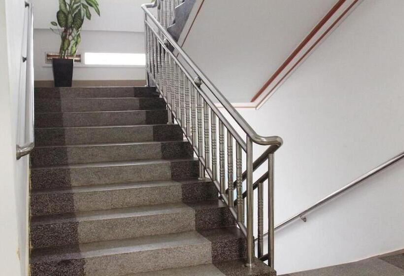 ユースホステル Angkor Ruby Guesthouse