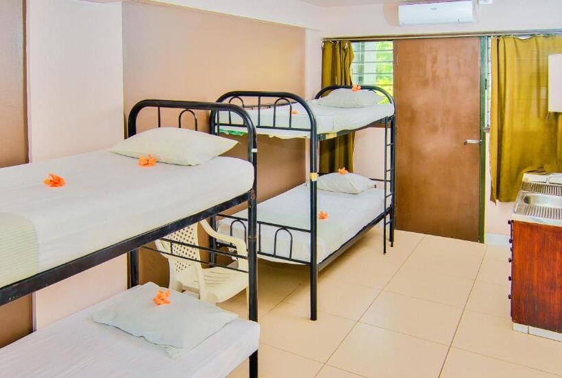 هاستل Bamboo Backpackers