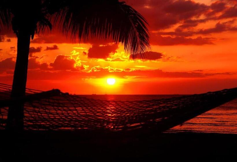 هاستل Bamboo Backpackers