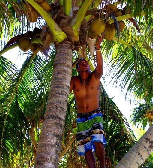 هاستل Bamboo Backpackers