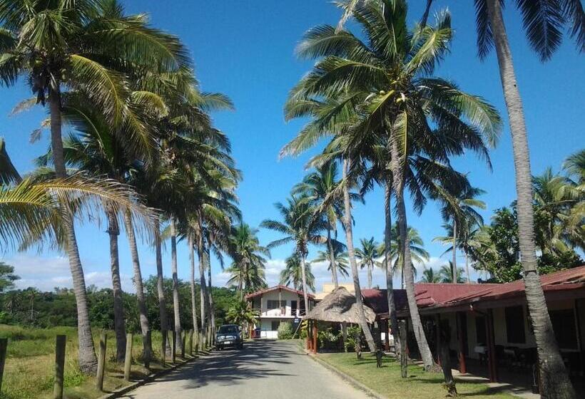 هاستل Bamboo Backpackers