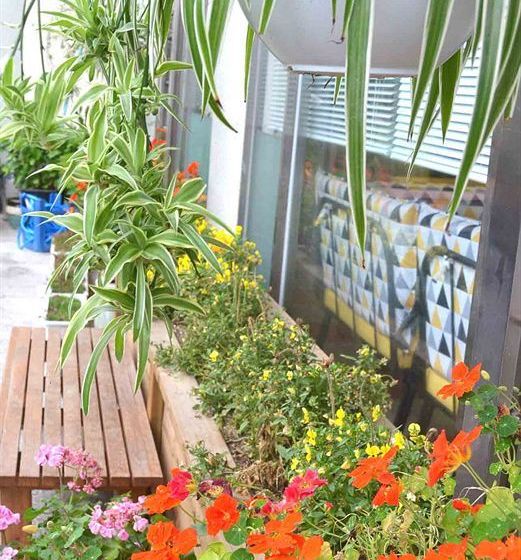 فندق صغير Egg House Sokcho Guesthouse