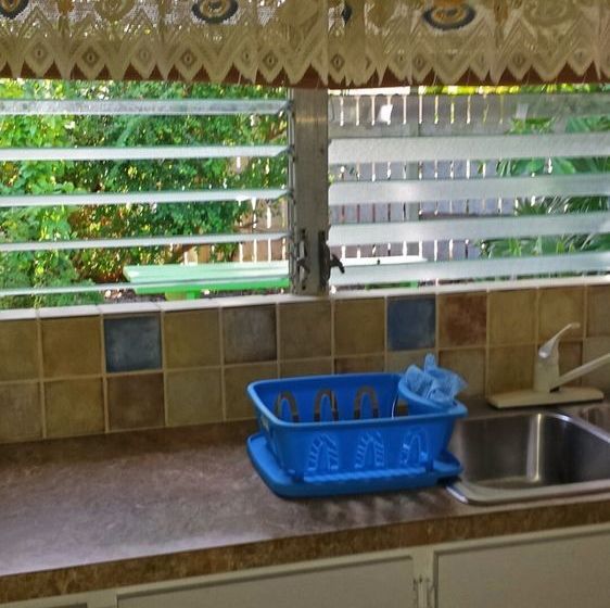 Eldemire's Tropical Island Inn