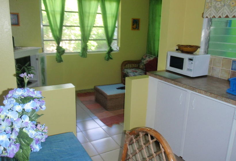 Eldemire's Tropical Island Inn