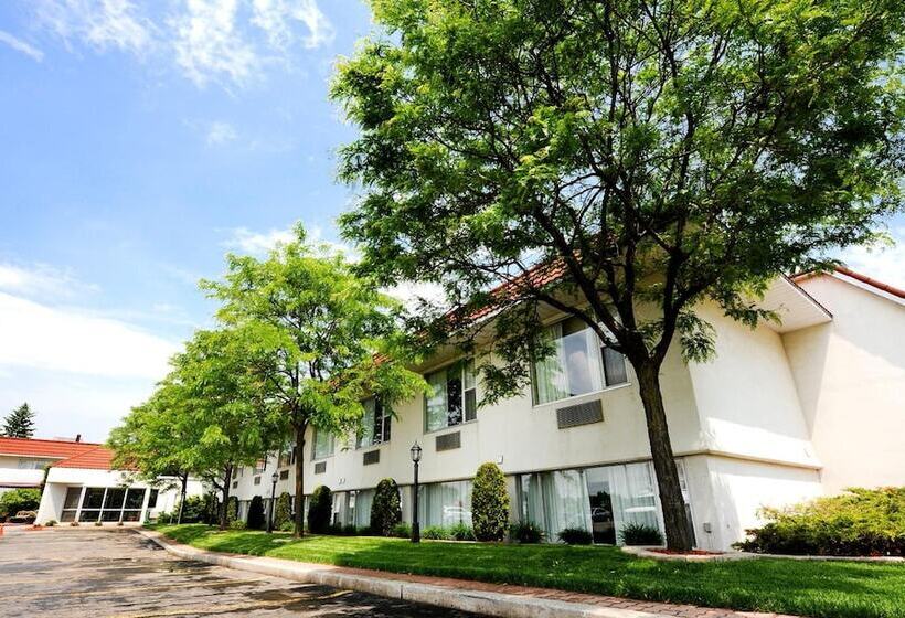 ホテル Adam S Airport Inn