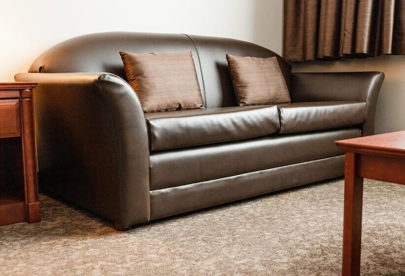 ホテル Adam S Airport Inn