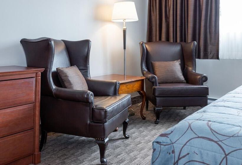 ホテル Adam S Airport Inn