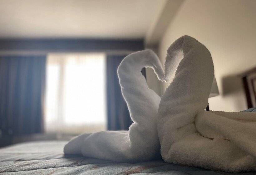 ホテル Adam S Airport Inn