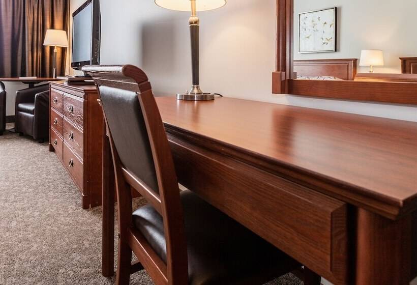 ホテル Adam S Airport Inn