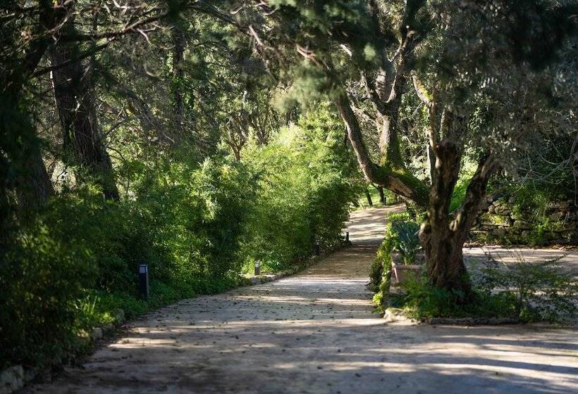 Отель Agriturismo Costantino