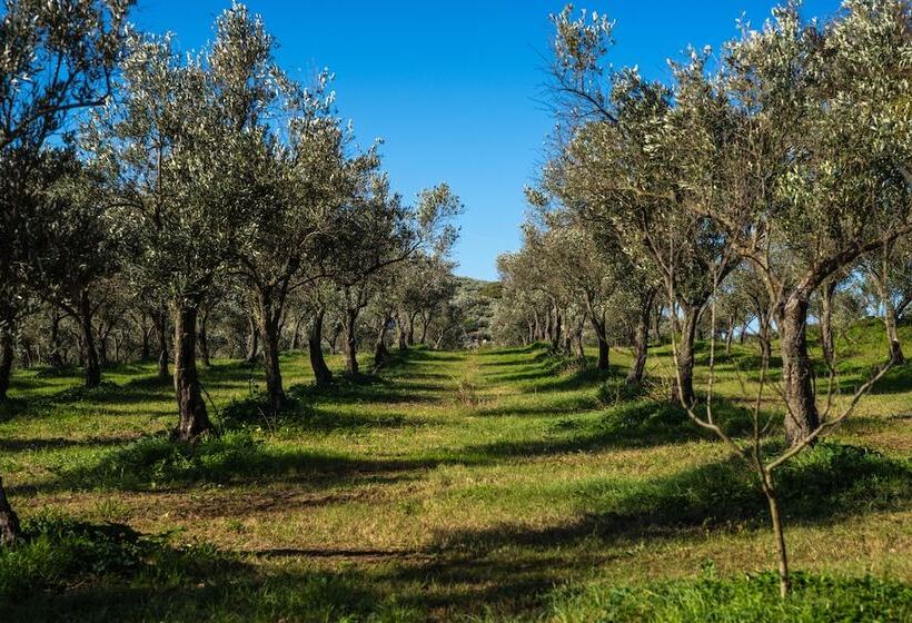 Отель Agriturismo Costantino