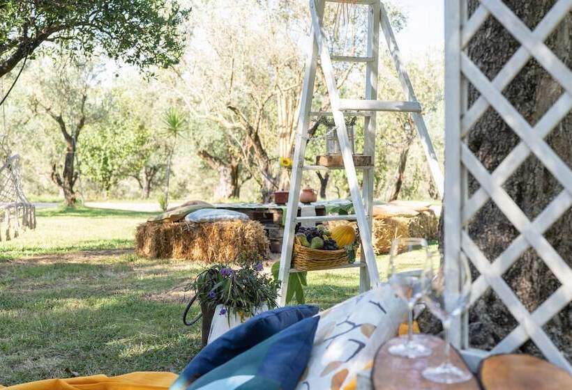 Отель Agriturismo Costantino