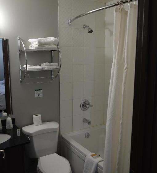 בית מלון כפרי Airport Traveller S Inn