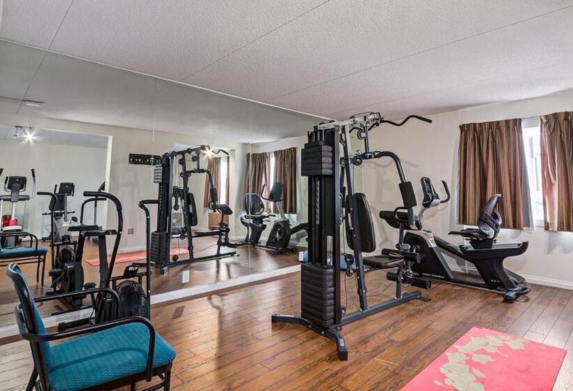 בית מלון כפרי Airport Traveller S Inn